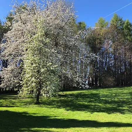 Pentarthouse Апартаменты Буршайд