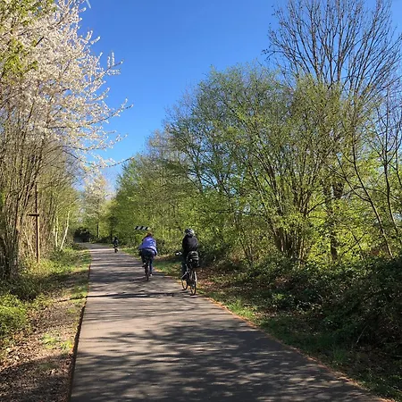 アパート Pentarthouse ブルシャイト