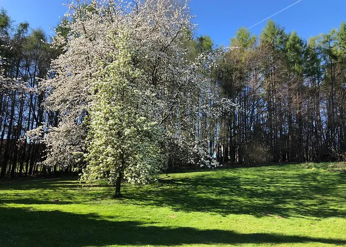 Pentarthouse Daire Burscheid