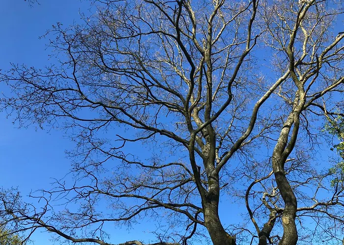 Pentarthouse Апартаменты Буршайд