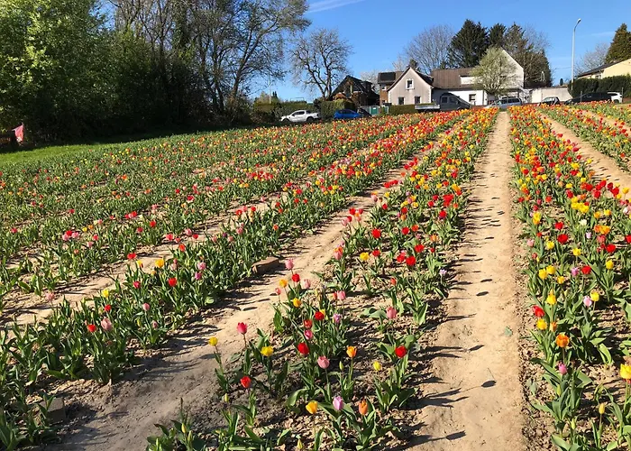 Апартаменты Pentarthouse *